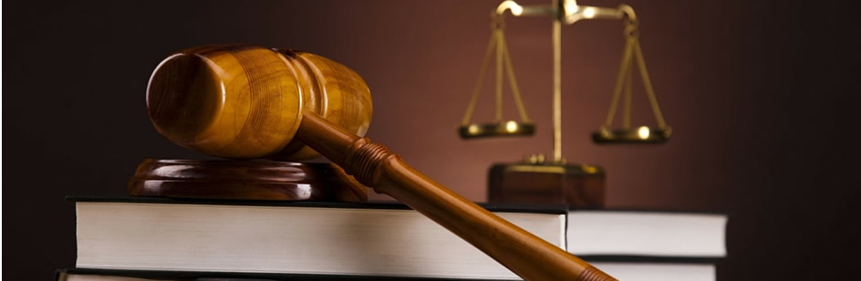 Legal Societario